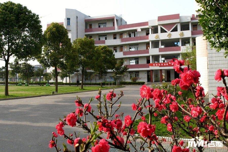 学校
